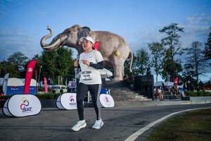 BIB: 
                            <button type="button" onclick="openModal(26541933)" class="btn btn-primary btn-sm float-right btn-popup" data-toggle="modal" data-target=".modal-high-quality">
                        <i class="fas fa-shopping-cart"></i> Add to Cart
                    </button>
                                            <button type="button" onclick="isThisMe(26541933, true)" class="btn btn-success btn-sm float-right btn-popup btn-isme hidden" data-toggle="tooltip" data-placement="bottom" title="นี่คือรูปของคุณใช่ไหม คลิกที่นี่เพื่อเอาเข้าอัลบั้ม">
                        <i class="fas fa-plus"></i> Add to album
                    </button>
                    <button type="button" onclick="isThisMe(26541933, false)" class="btn btn-warning btn-sm float-right btn-popup btn-isnotme hidden">
                        <i class="fas fa-ban"></i> Remove from album
                    </button>